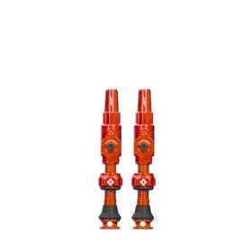 725477_t