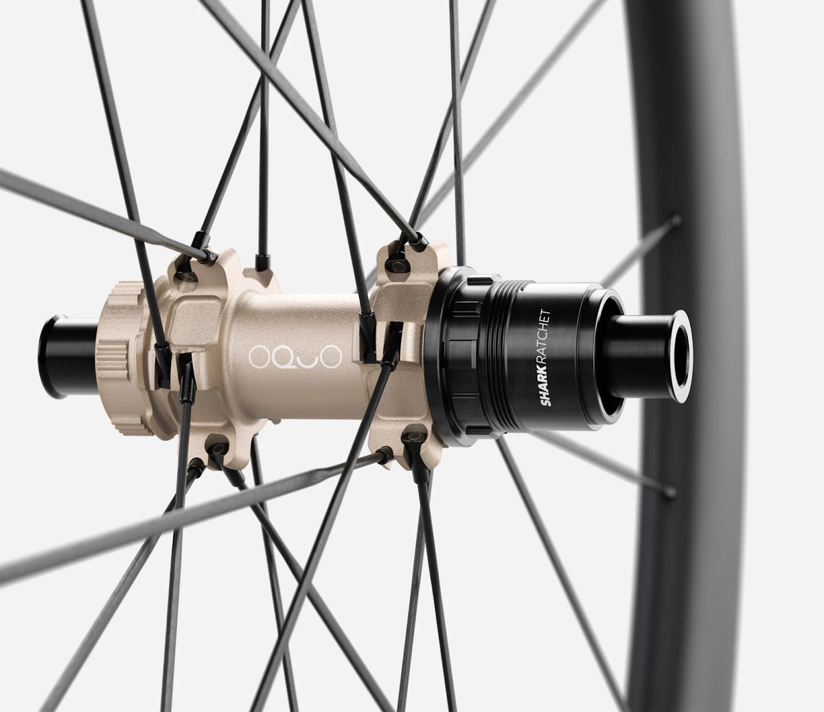 O1910028