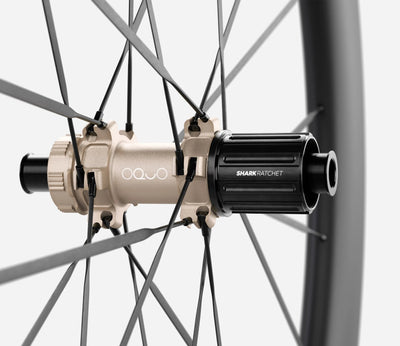 O1920040