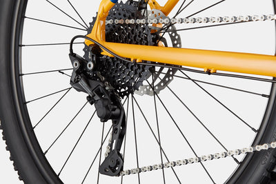 Bicicletas Trail Trail 5 Cannondale 2024 Mango #5