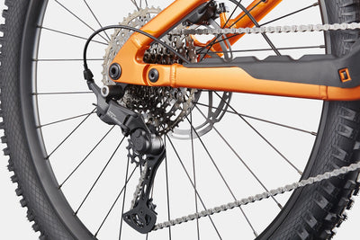 Moterra Neo 4 Plus Cannondale 2025 Tiger Eye #6