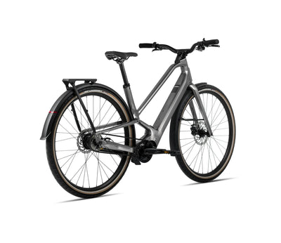 S377TTCC-WR-BACK-DIEM_20