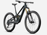 Biciclette Orbea Rallon RS-Ltd 2027 Escape Verde/Carbon View Matt