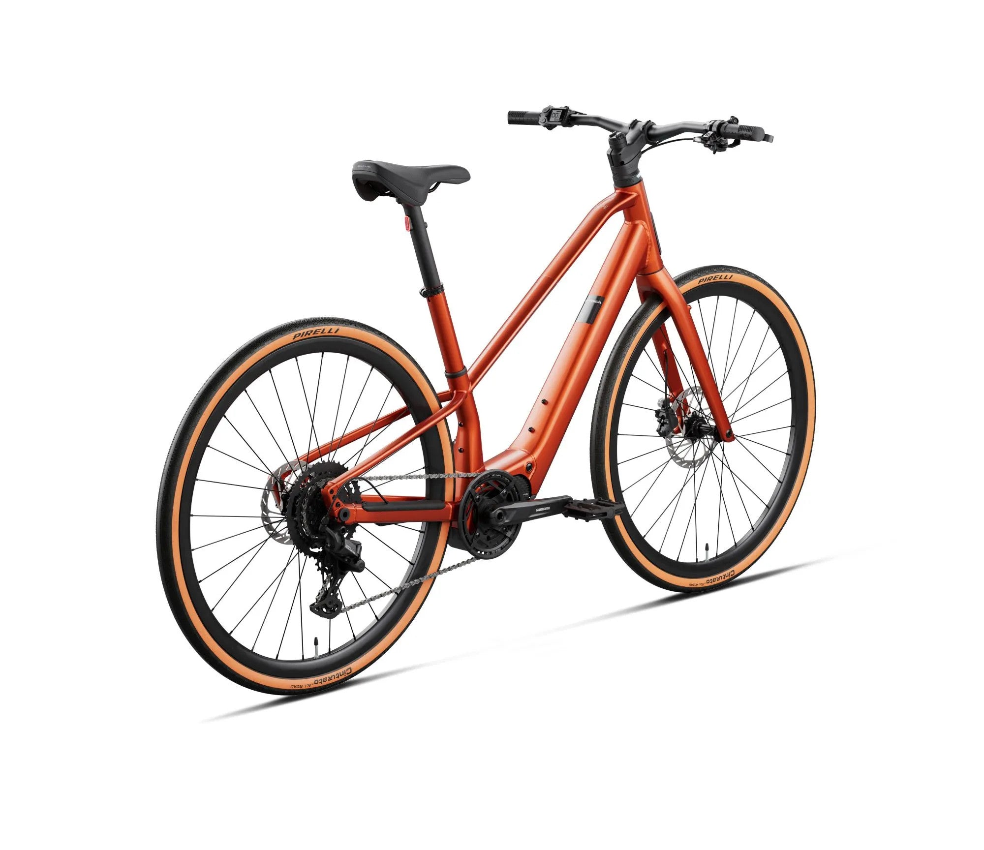 U378TTCC-WD-BACK-CARPE_25