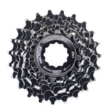 Xlc Cassette 8s Campagnolo Silver