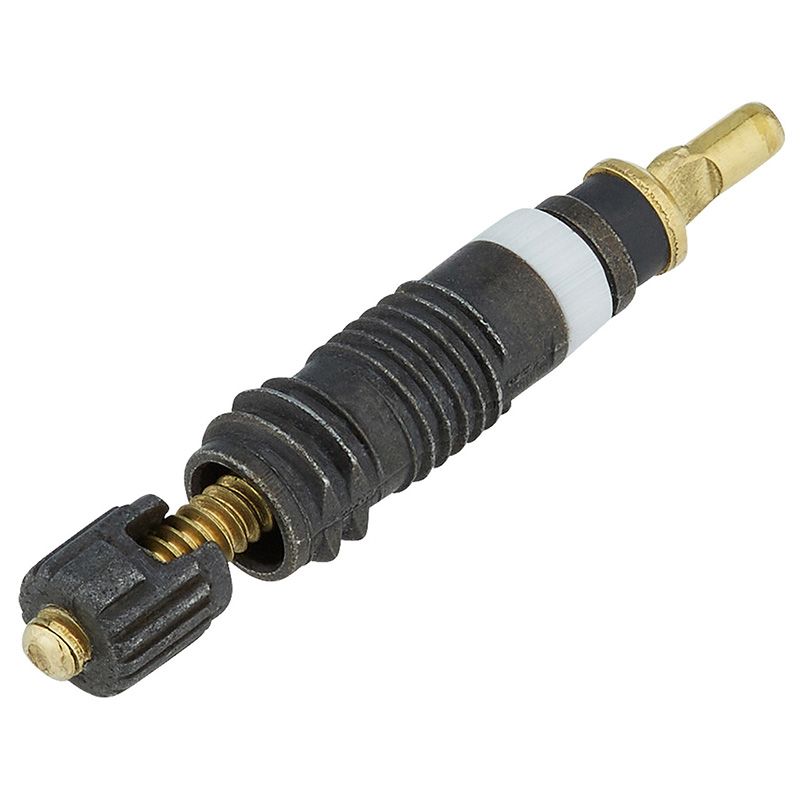 Set Válvula Presta Schwalbe Aluminio Plata 1 Unidad