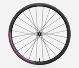 Oquo Ruota Posteriore Gravel RP35LTD Sram XDR Metallic Mulberry